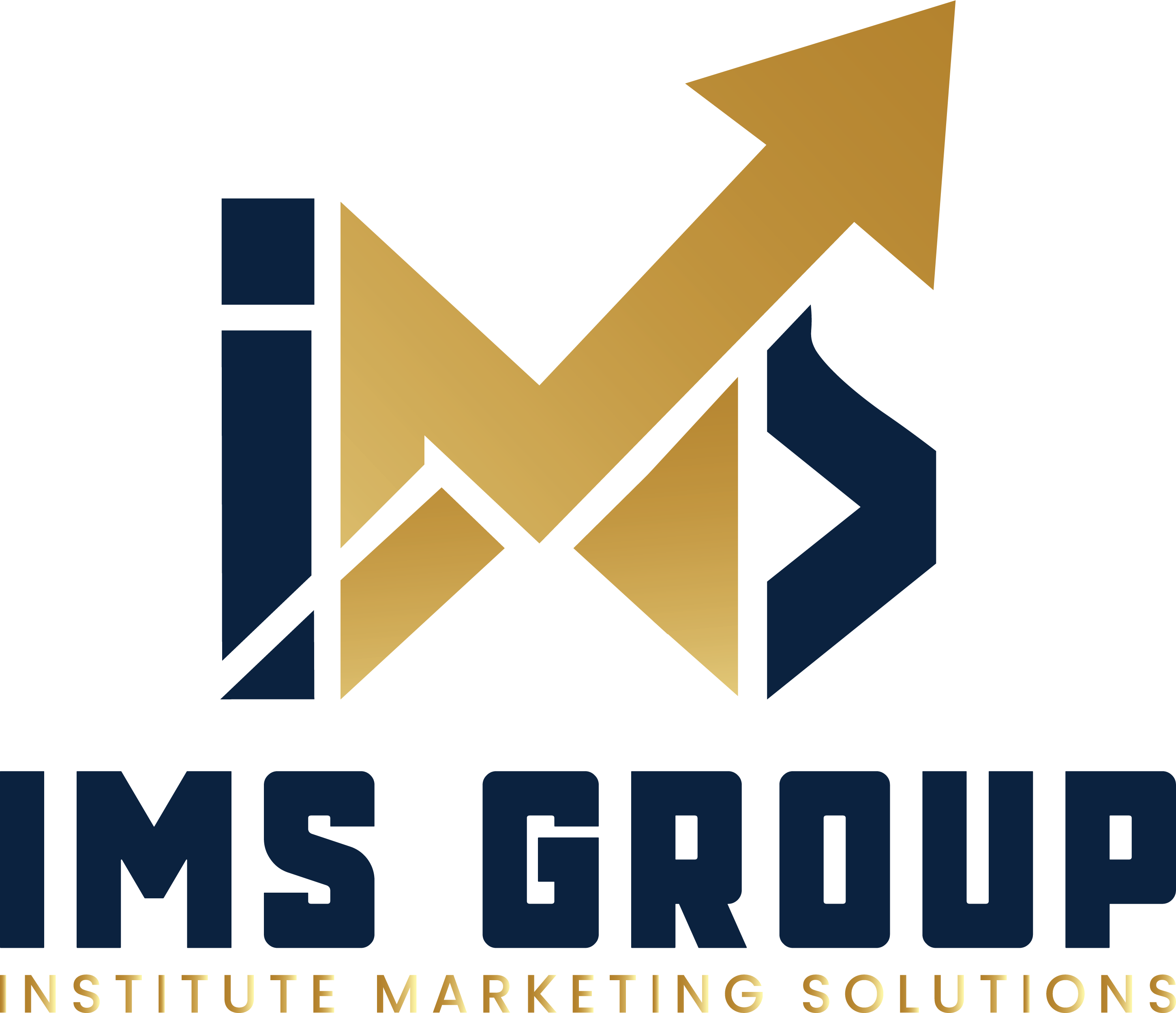 IMS Group Logo